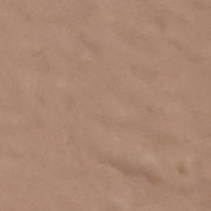 Meet your Posher, Vannesa